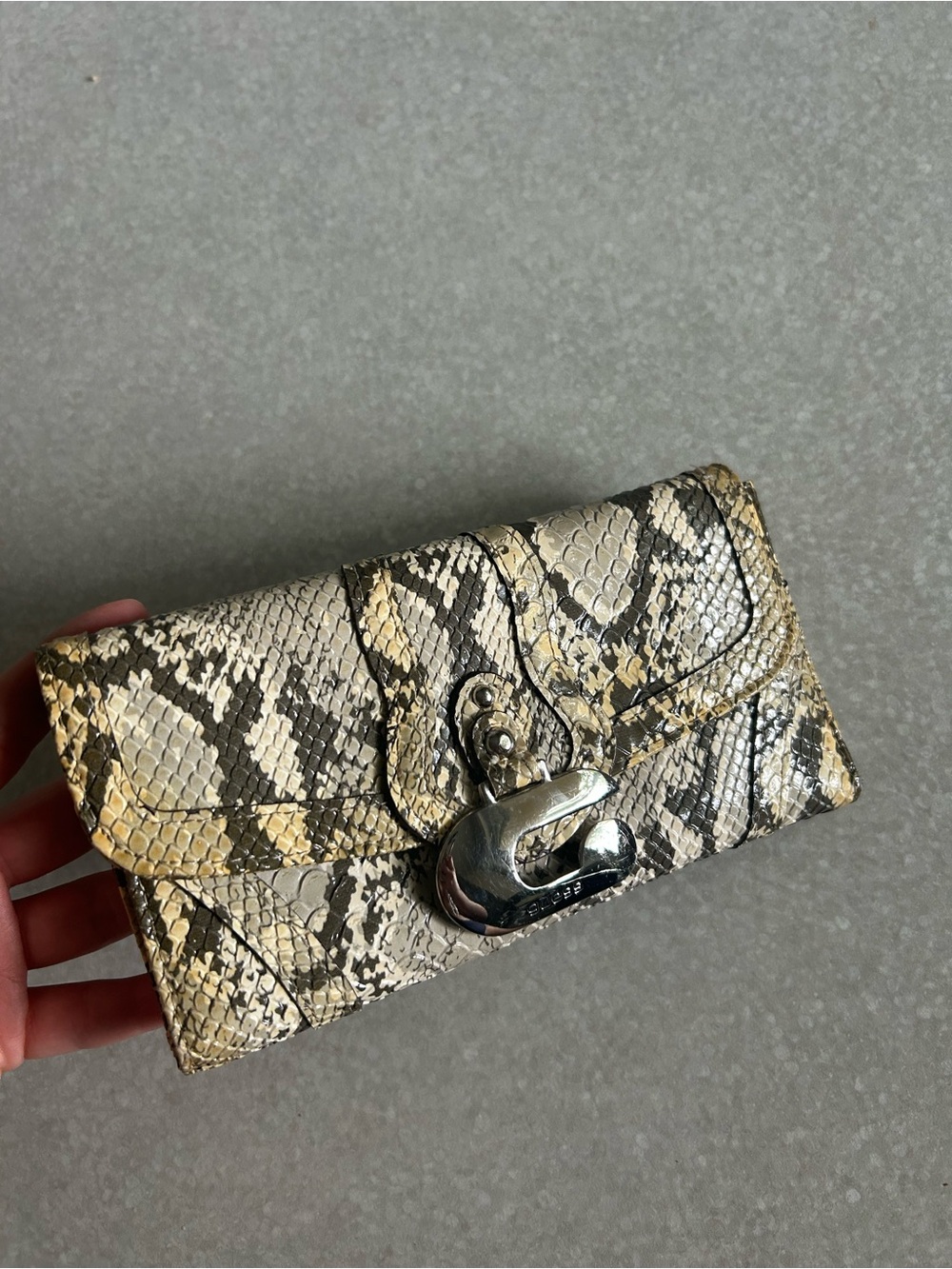 Snake-Print Leather Clutch Wallet in Neutral Tones